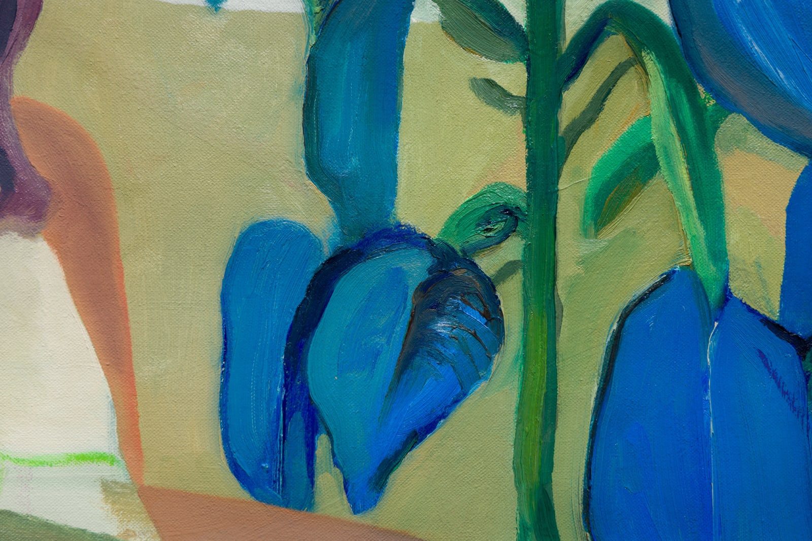 Almaha Jaralla, Dhuha sitting #1, 2025