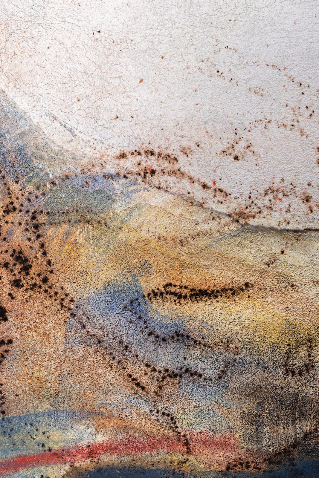 Chafa Ghaddar, Studies of Grass 4, 2022 - 2023