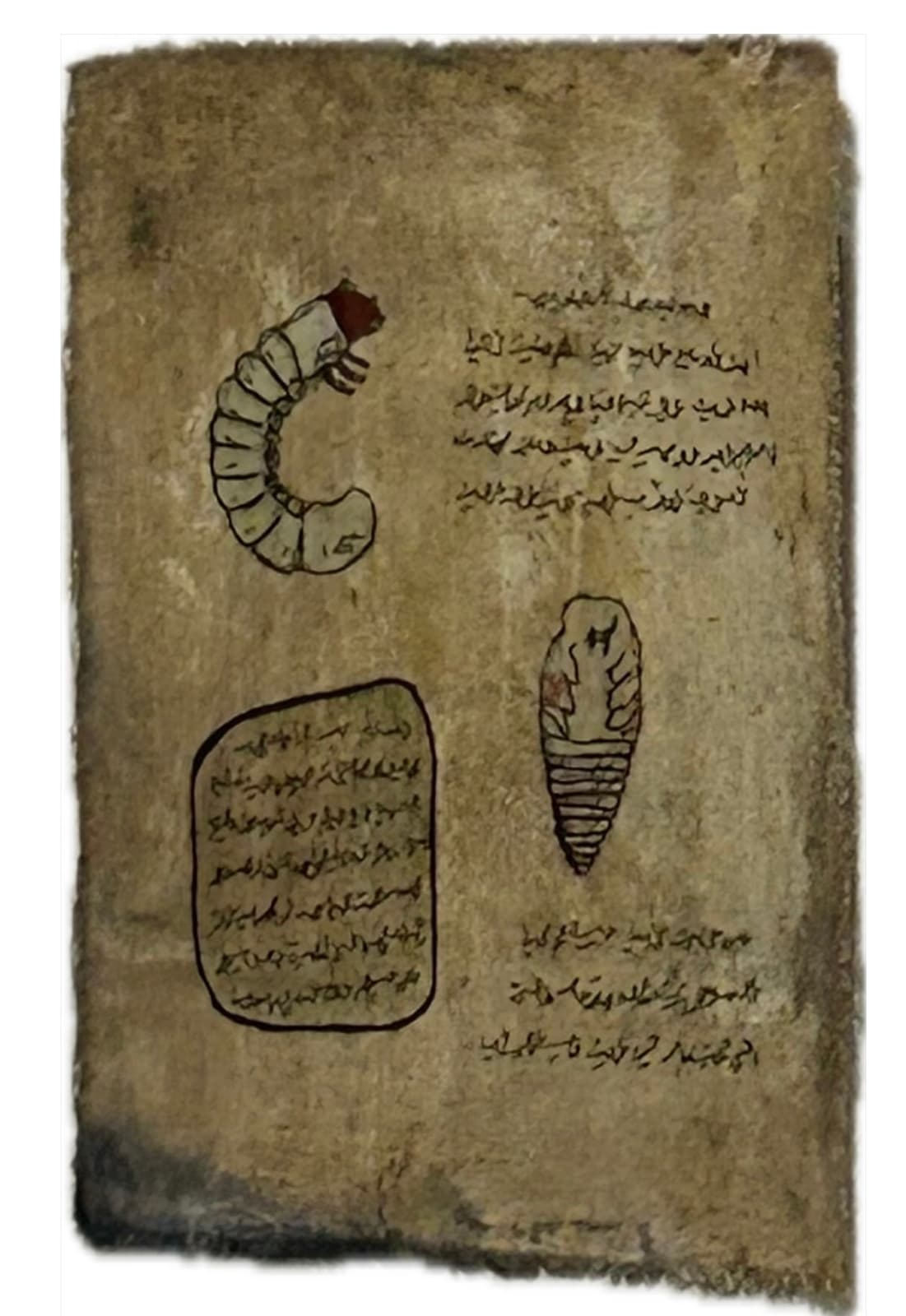 Mohamed Monaiseer, Dictionary #63, 2014