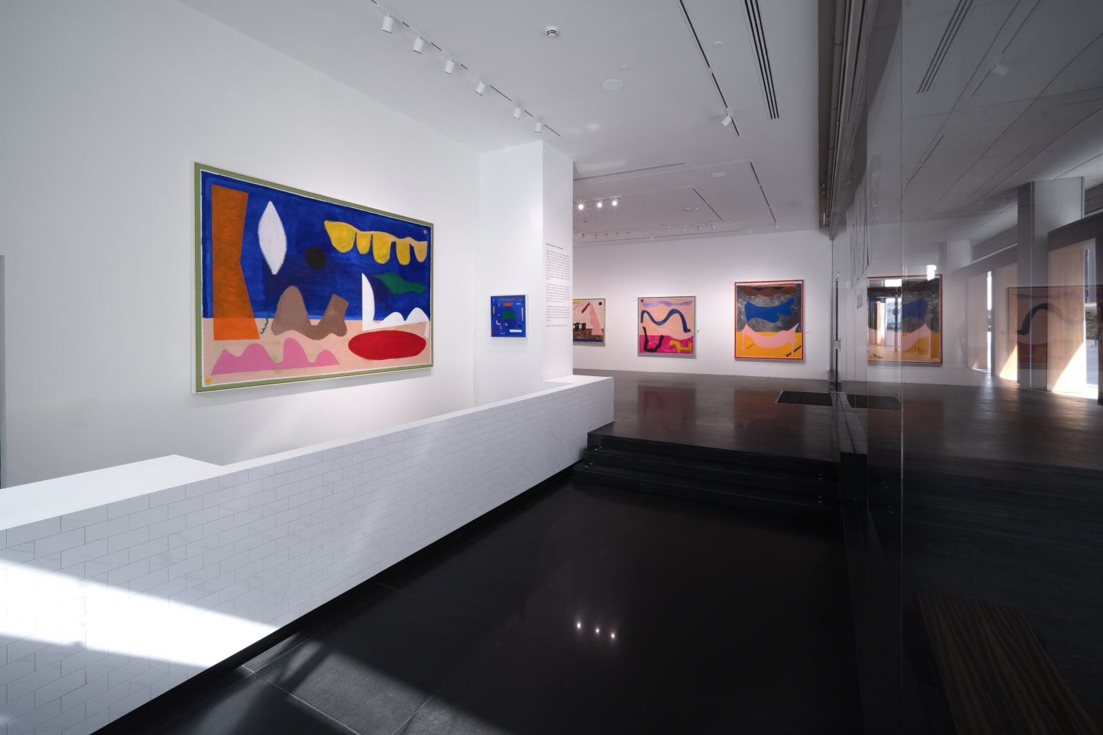 Nasser Almulhim, The within world, 2024