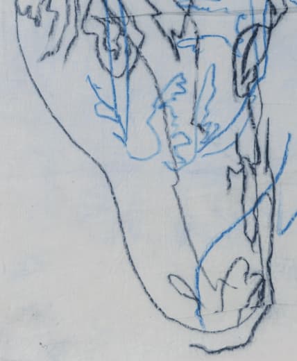 Malik Thomas Jalil, Horsehead, 2024