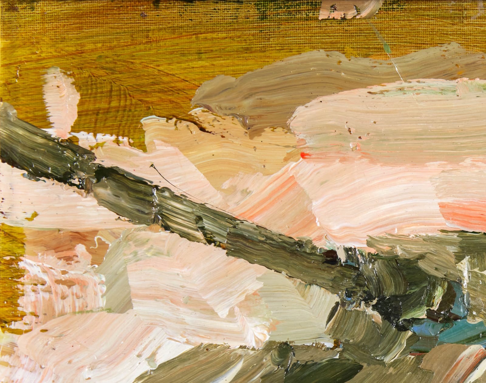 Tagreed Darghouth, The Tank Series, 1, 2023