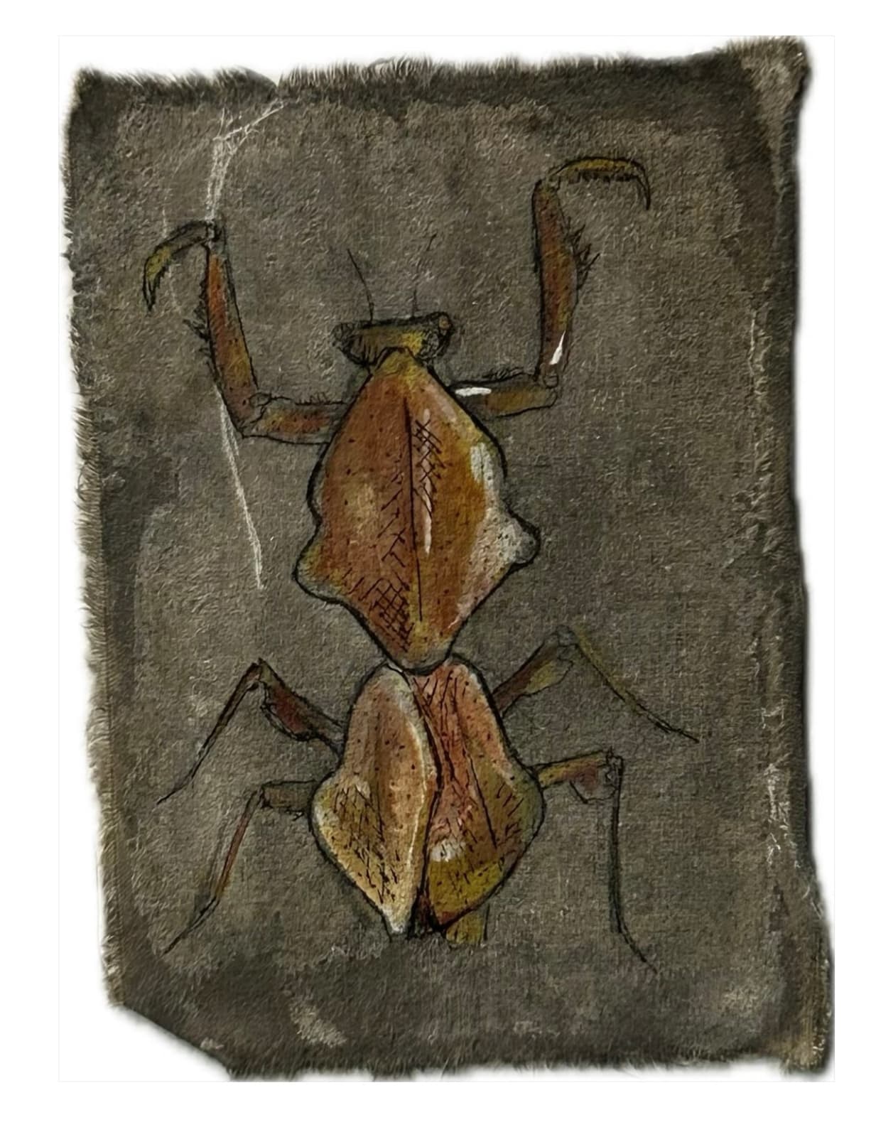 Mohamed Monaiseer, Dictionary #63, 2014