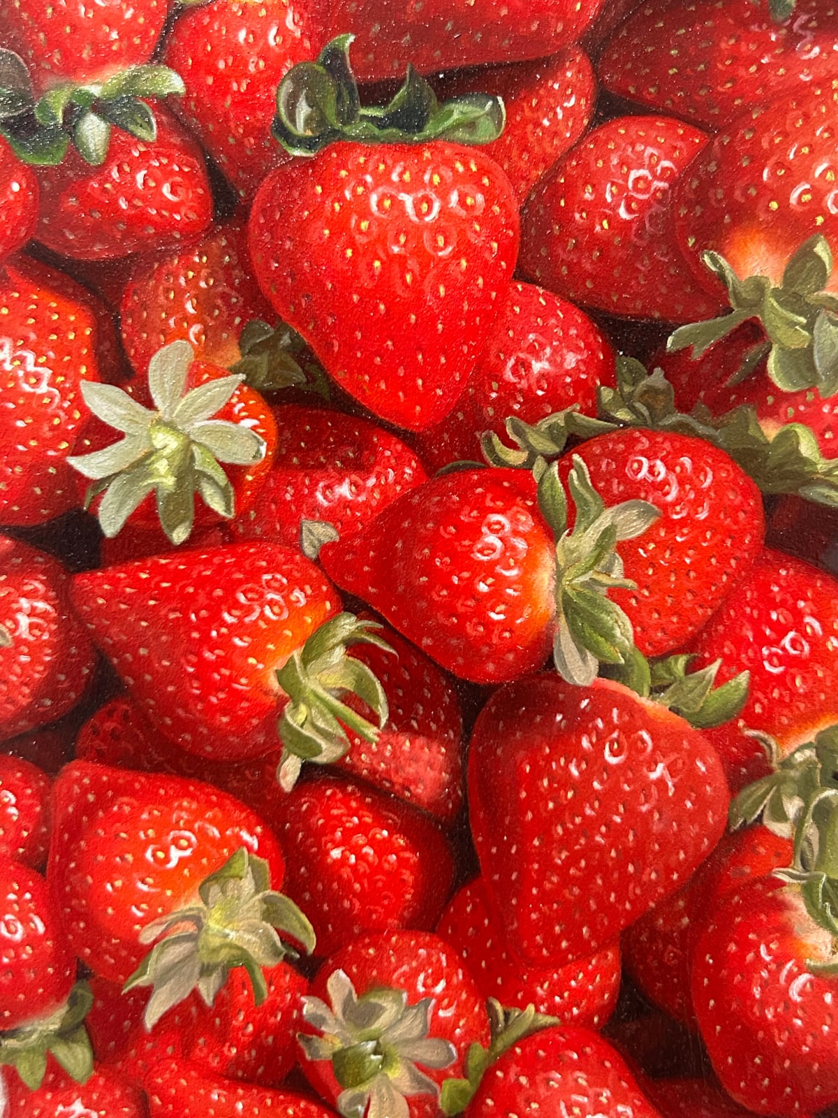 Michael Halak, Holy-Land Products: Strawberries, 2024