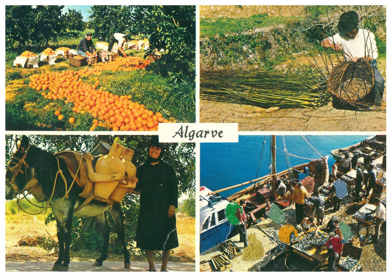 Aya Haidar, #1 Wish You Were Here Series, Postcard Collection 8, 2016