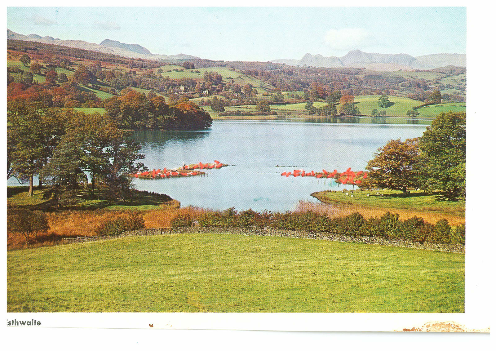 Aya Haidar, #1 Wish You Were Here Series, Postcard Collection 8, 2016