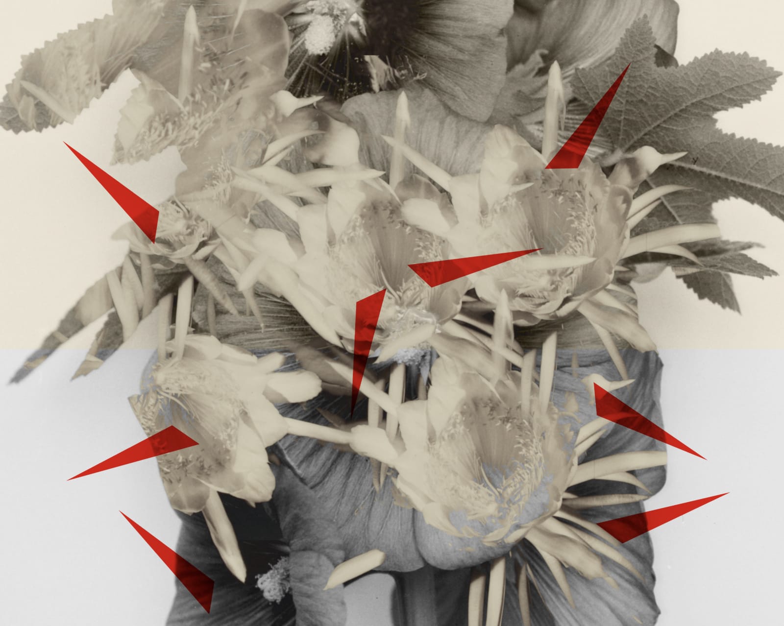 Hazem Harb, Thorns No 1, 2022