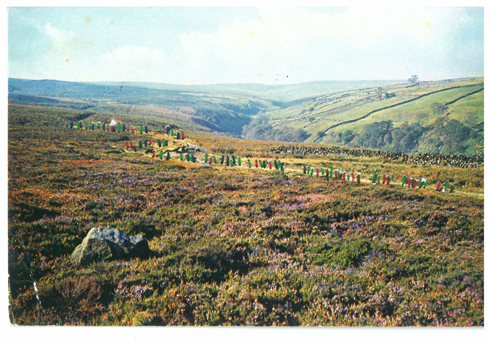 Aya Haidar, #1 Wish You Were Here Series, Postcard Collection 8, 2016