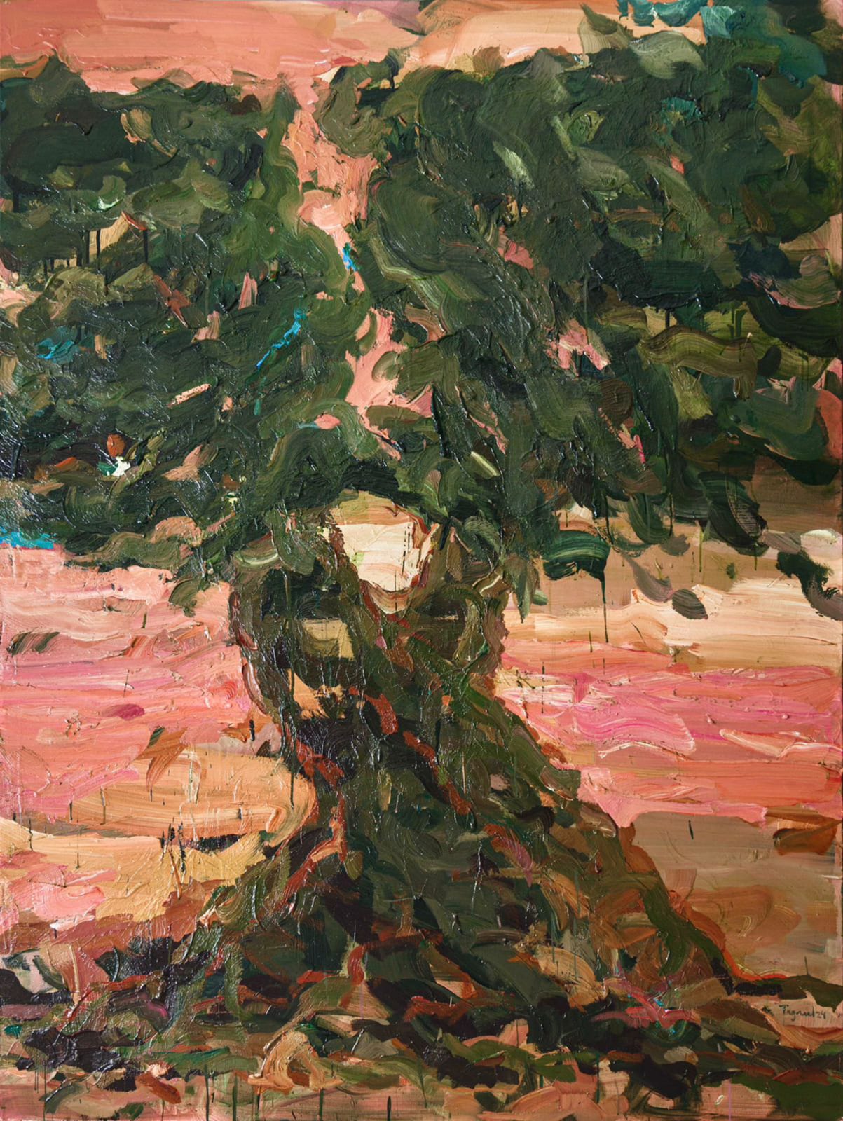 Tagreed Darghouth, "The Tree Within; A Palestinian Olive Tree" series, 2024