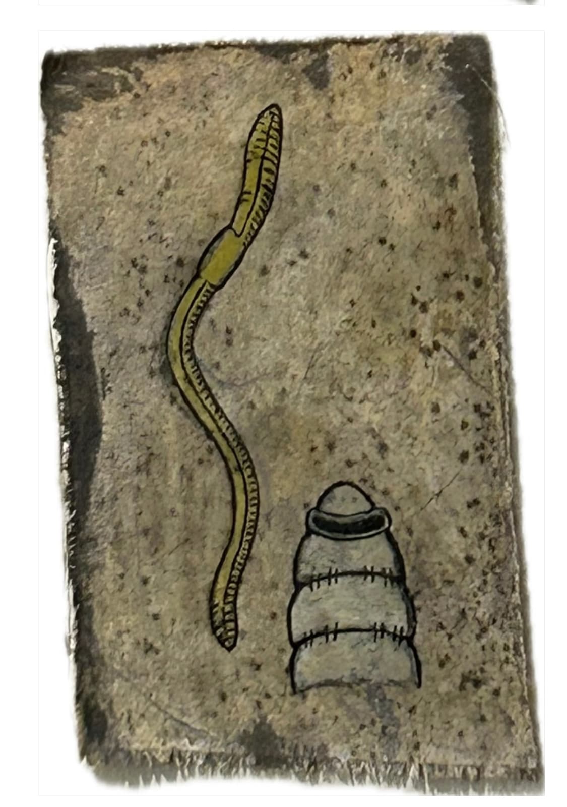 Mohamed Monaiseer, Dictionary #63, 2014