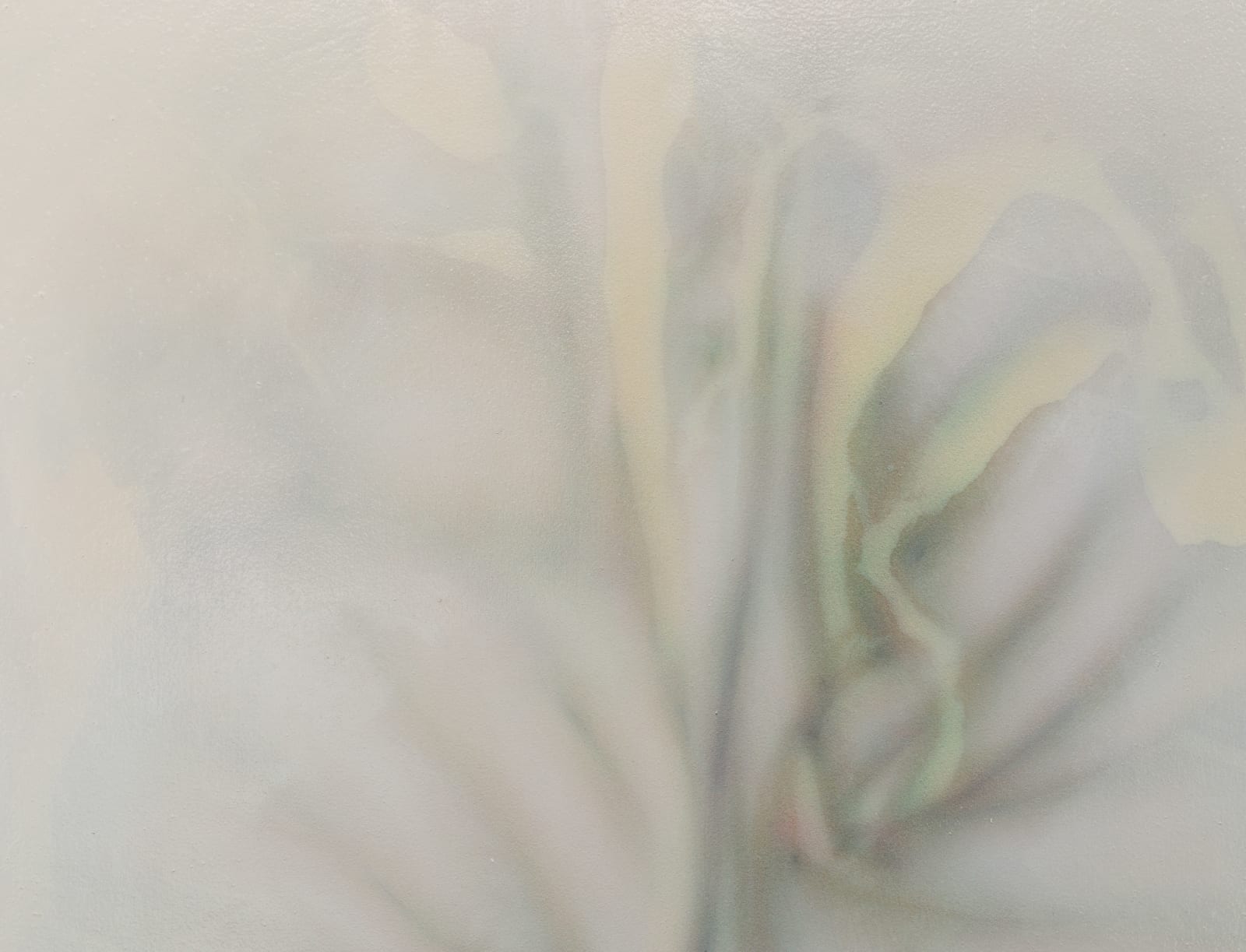 Miramar Al Nayyar, Recordings 17, 2024