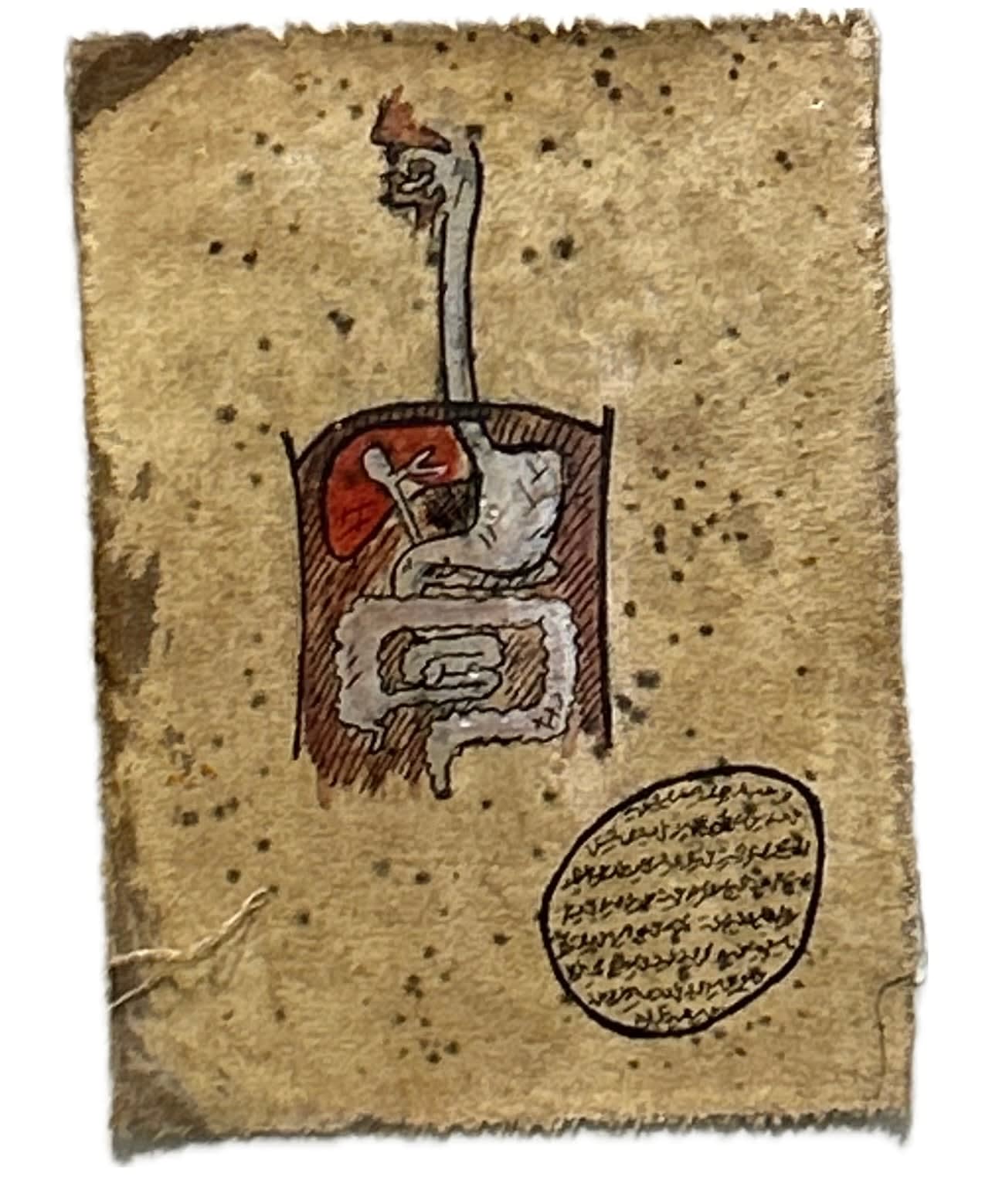 Mohamed Monaiseer, Dictionary #63, 2014
