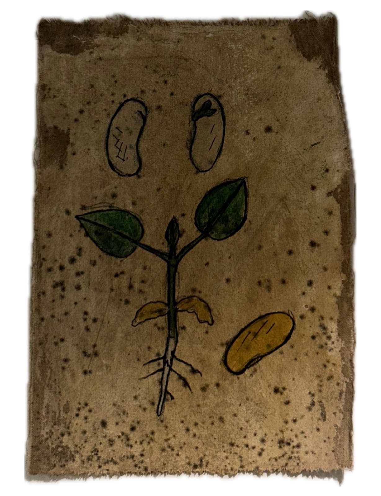 Mohamed Monaiseer, Dictionary #63, 2014