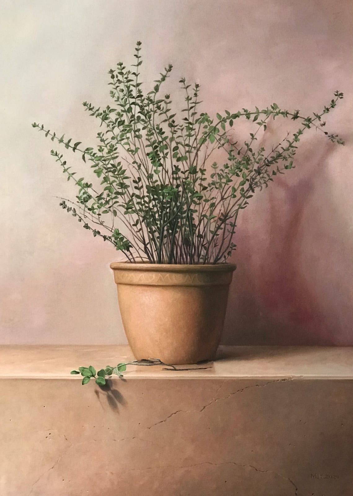 Michael Halak, Thyme, 2020