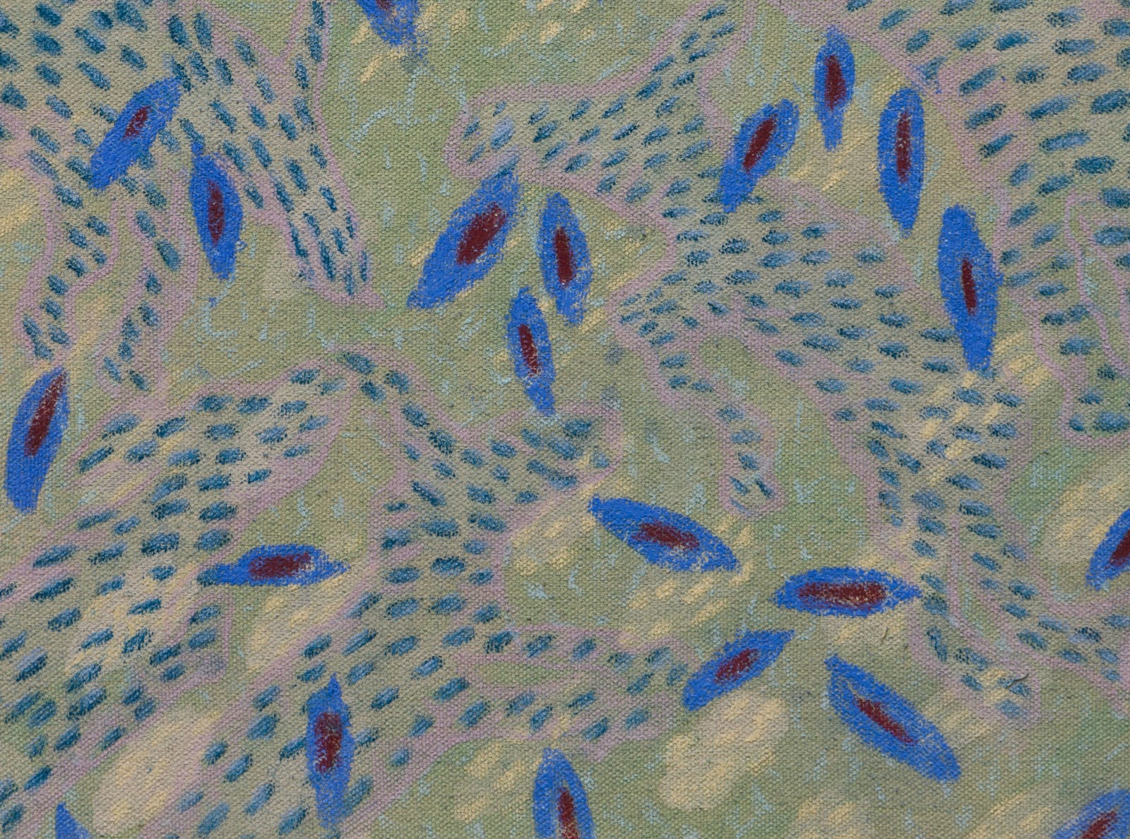 Ziad Al Najjar, Blue Jay, 2024