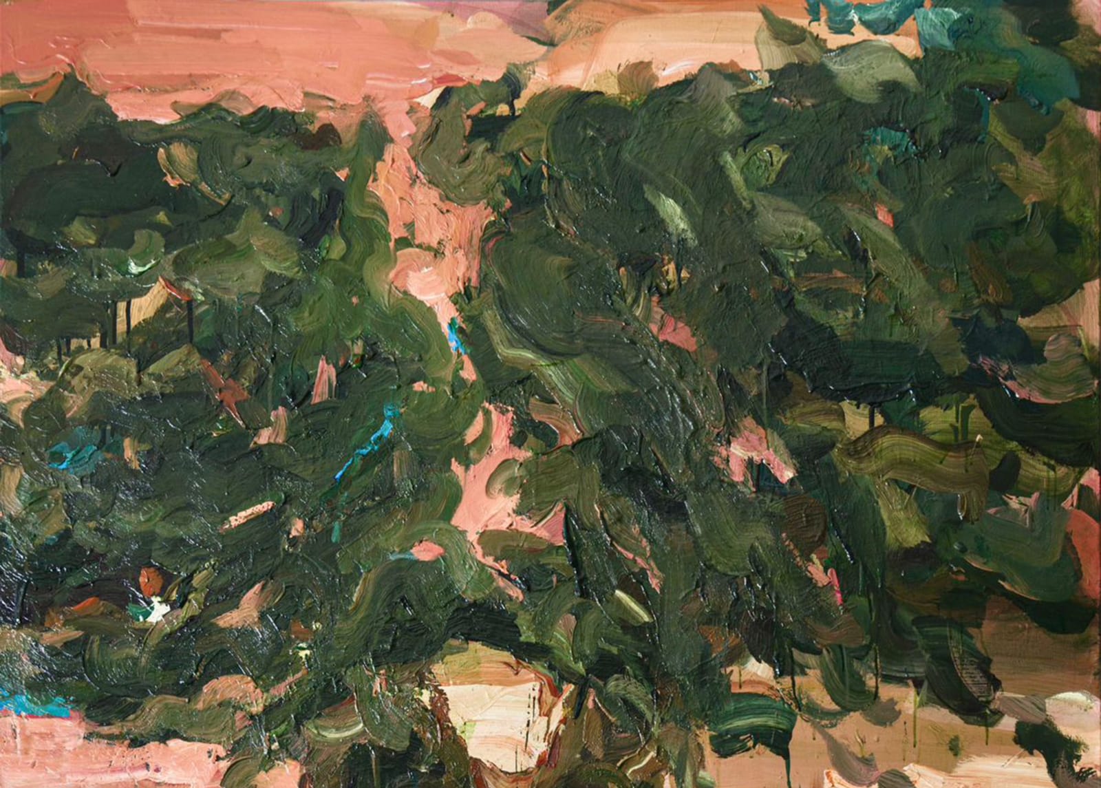 Tagreed Darghouth, "The Tree Within; A Palestinian Olive Tree" series, 2024