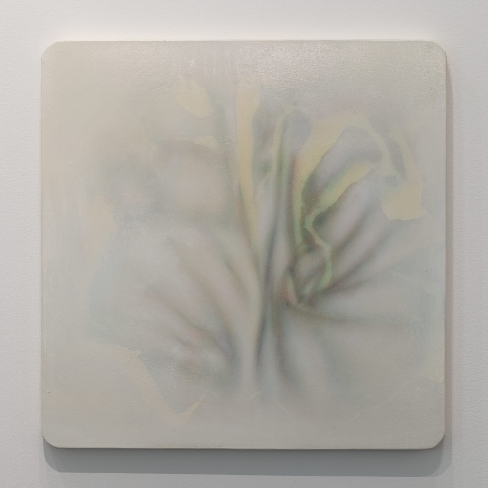 Miramar Al Nayyar, Recordings 17, 2024