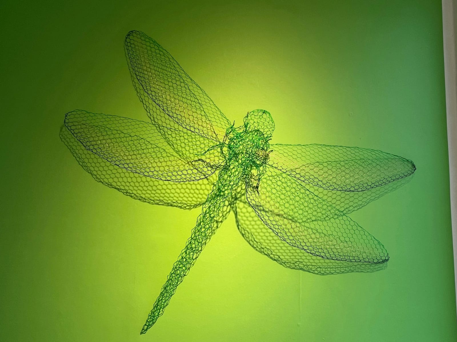 Benedetta Mori Ubaldini, Shimmering Dragonfly Sculpture, 2022