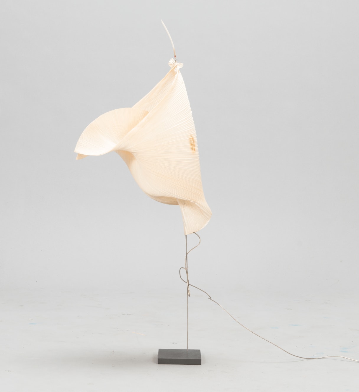 Gaku lamp best sale