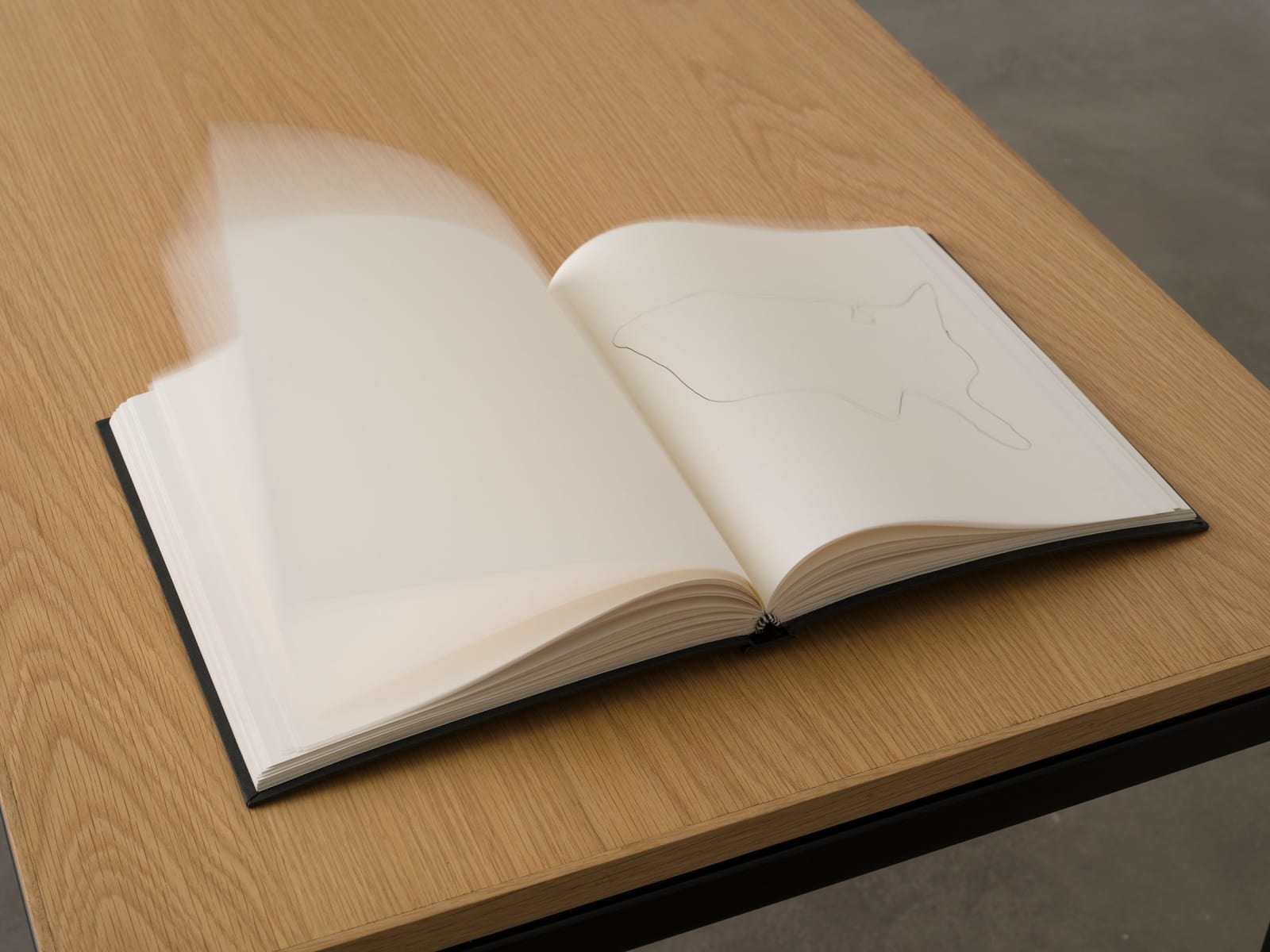 Image of 100 Hand-drawn Maps of USA