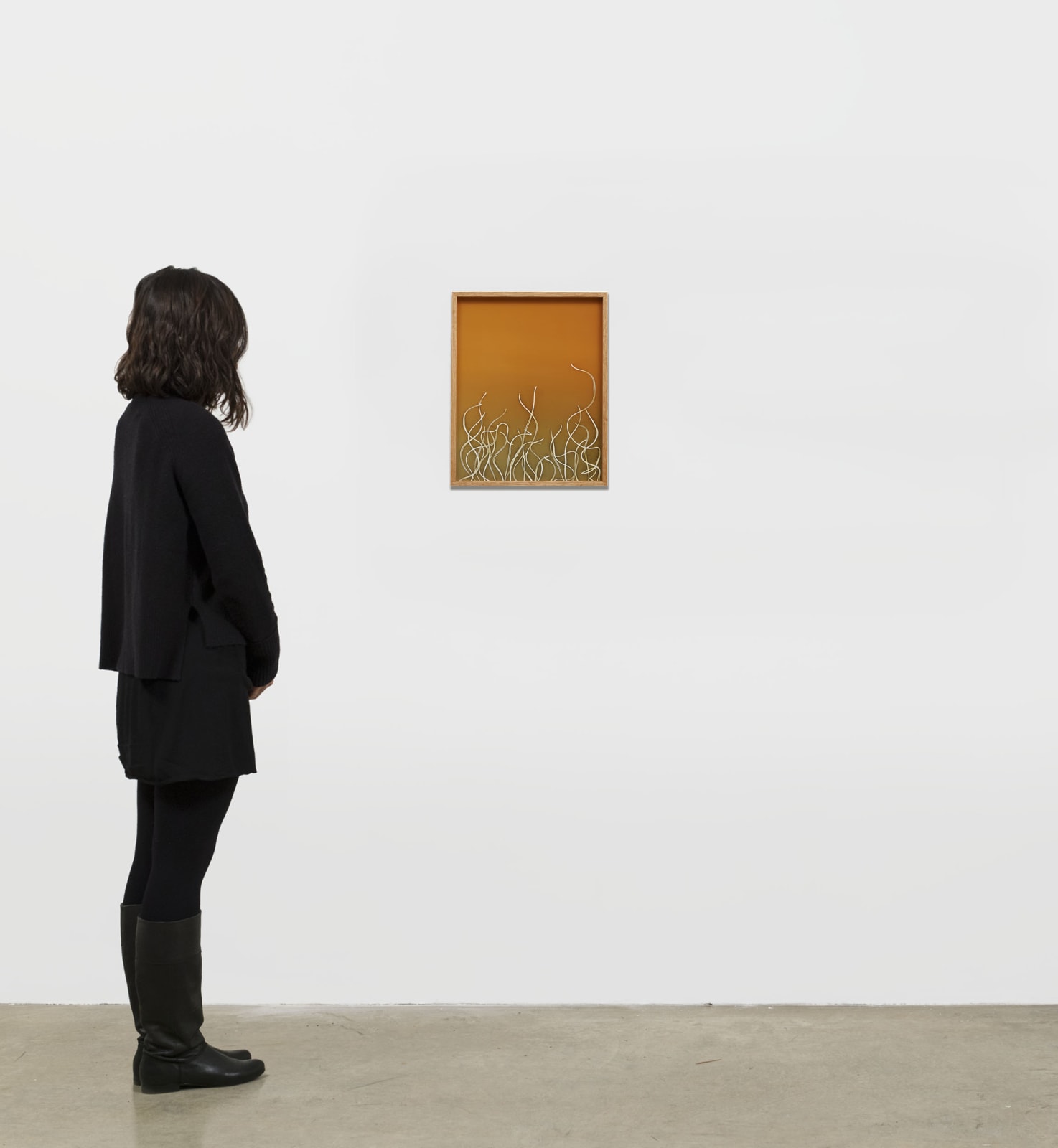 kelly akashi orange photogram scale view