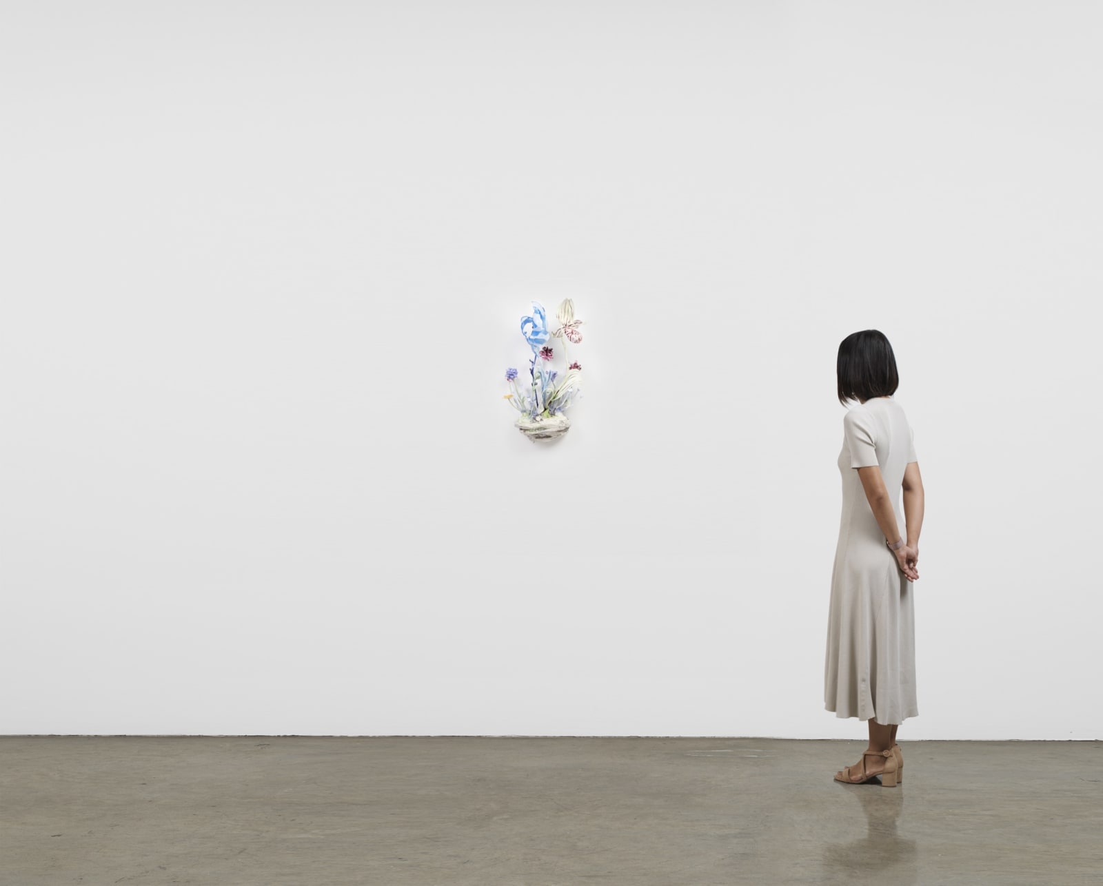 Image of Polypore nr 1