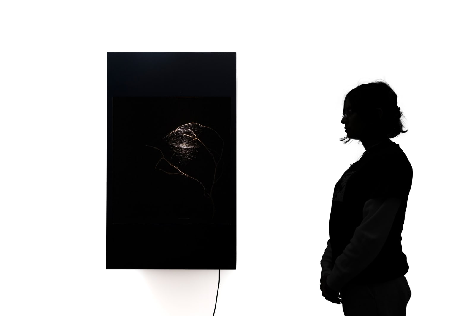 Saraceno's spidersilk box work.