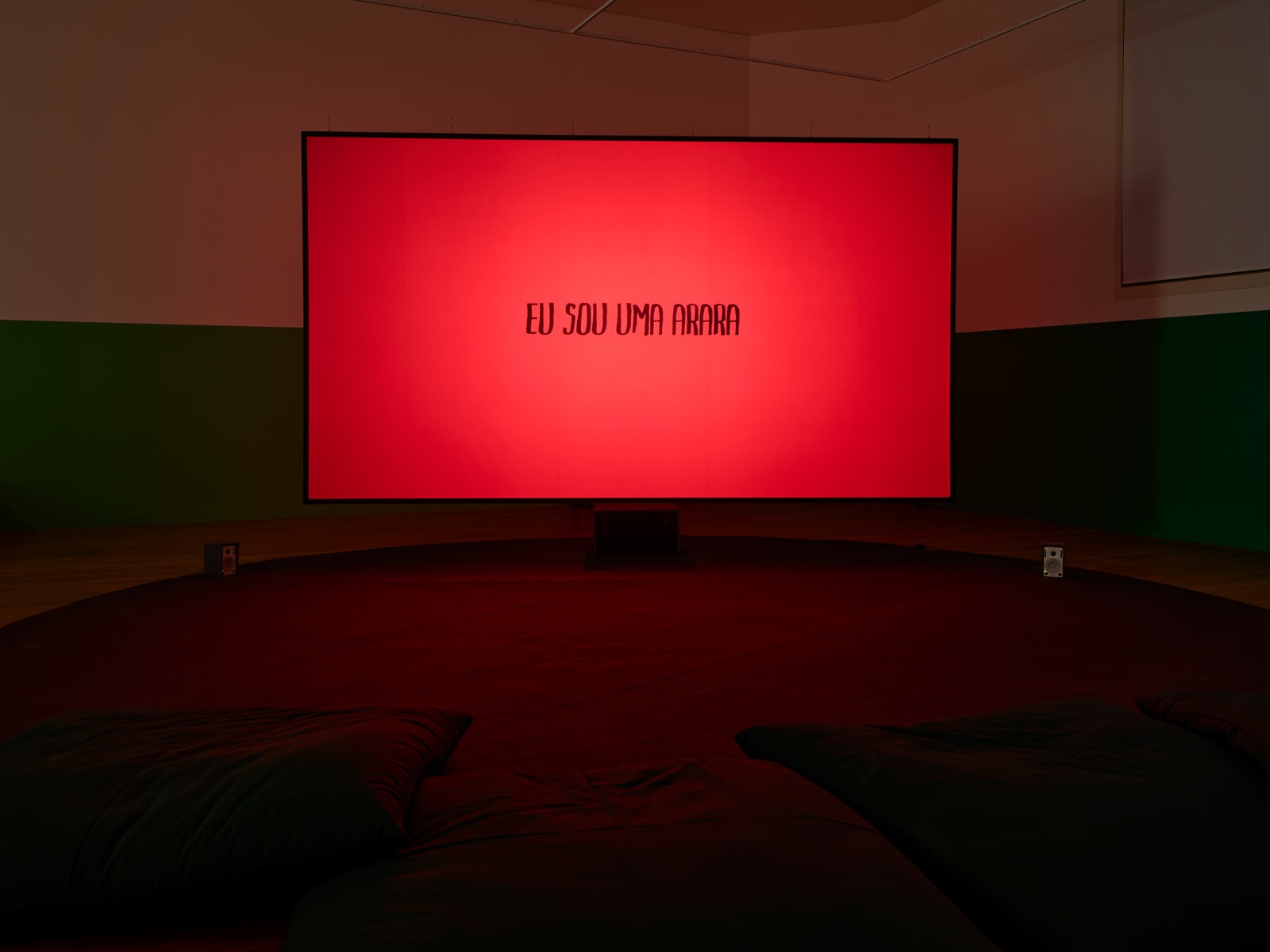 Image of Eu sou uma arara [I am a Macaw].