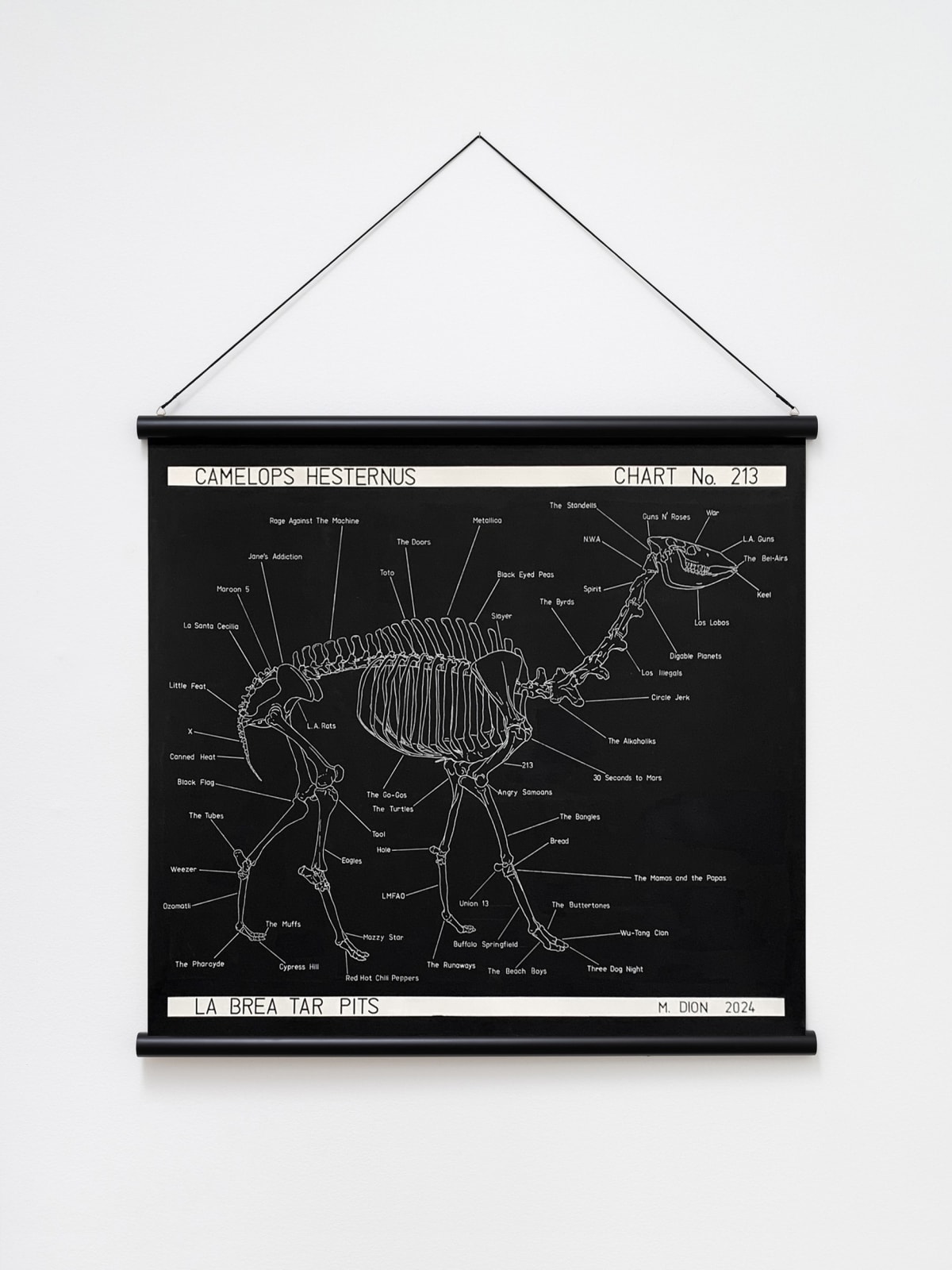 Image of Camelops hesternus.