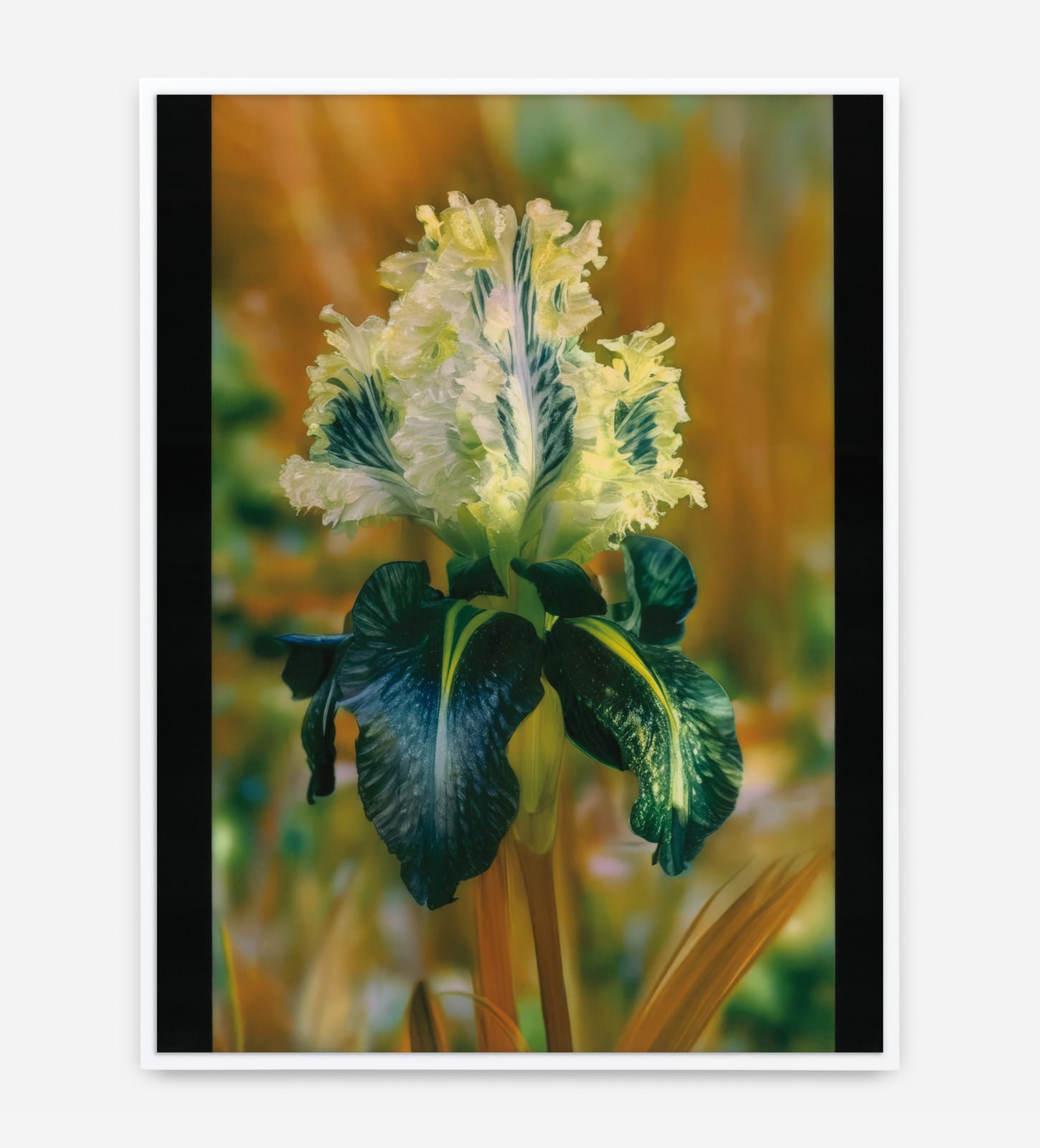 Image of Mons Steichen Version XIV.