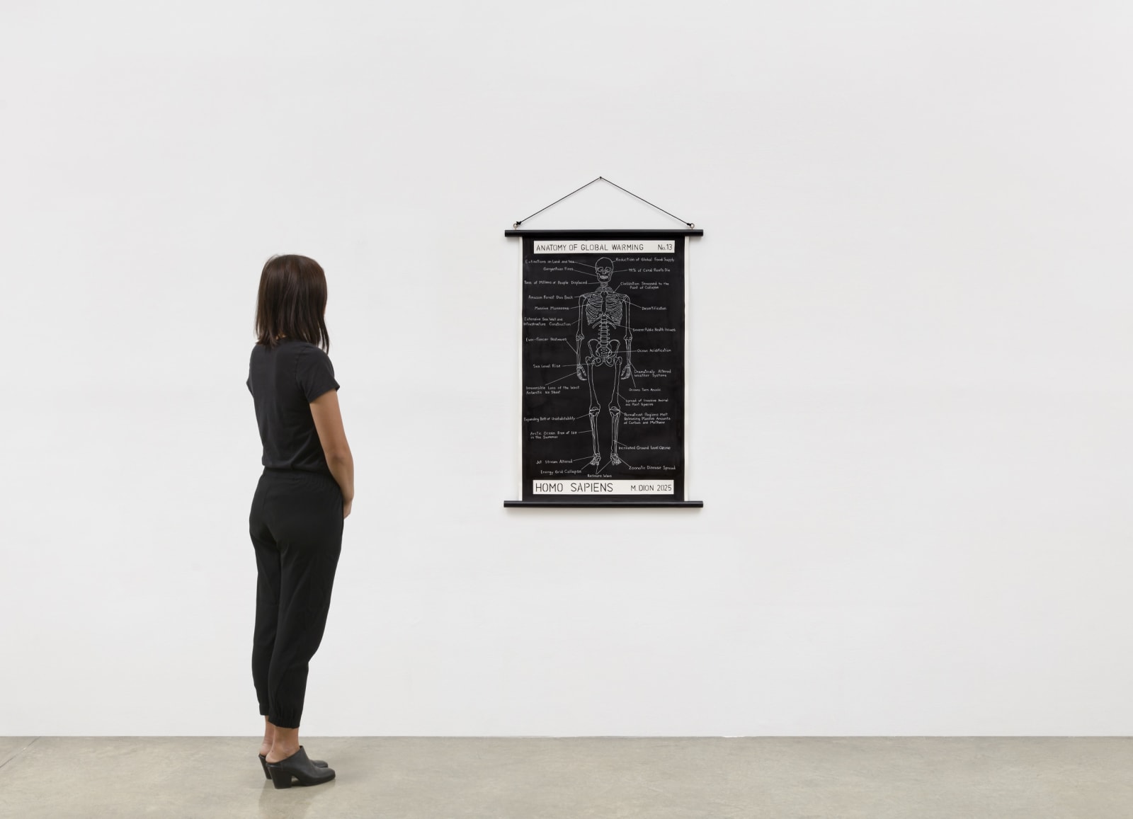 Image of No. 13 (Anatomy of Global Warming).