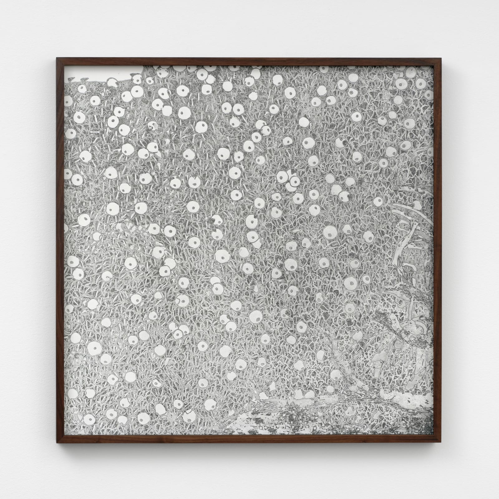 Image of Goldener Apfelbaum, 1903/2024 (Version III)