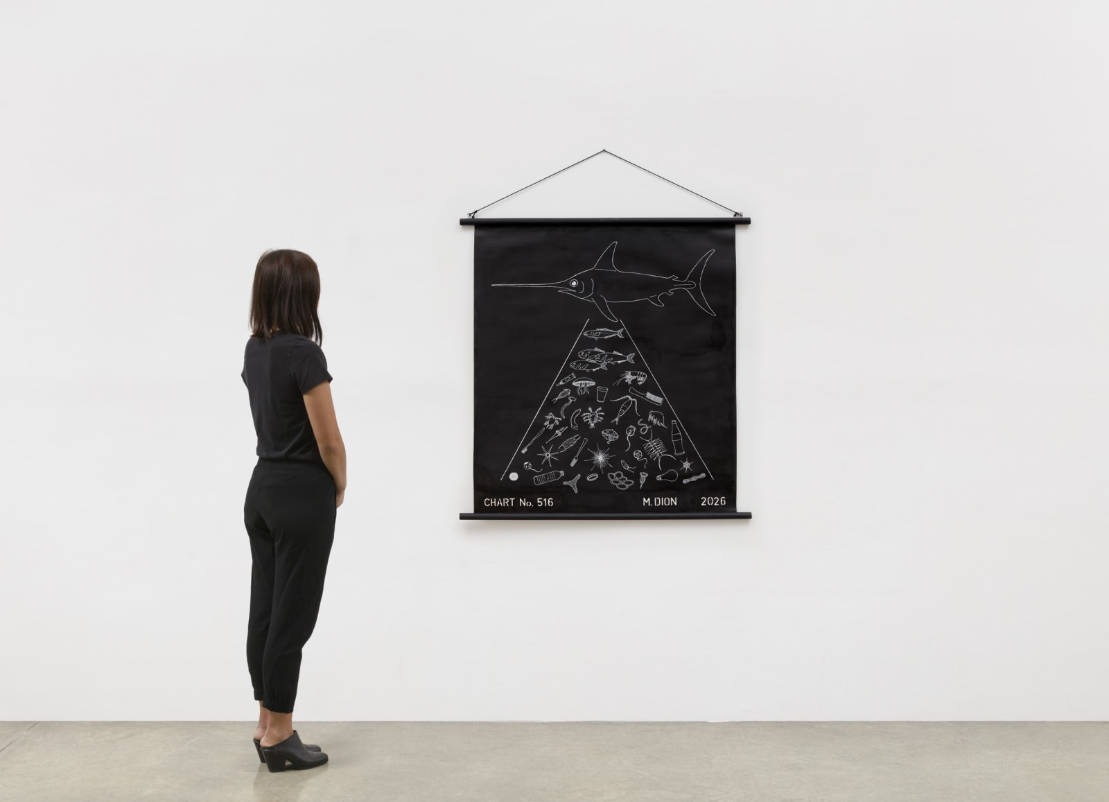 Image of Chart No. 516.