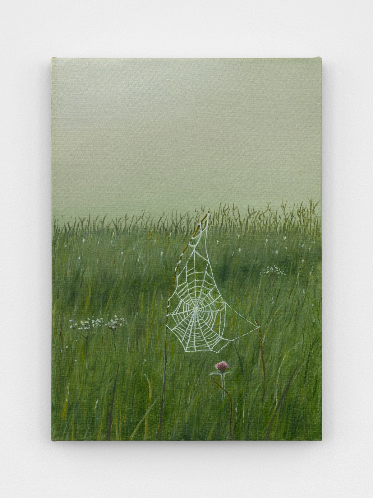 Dana Powell, Web, 2025