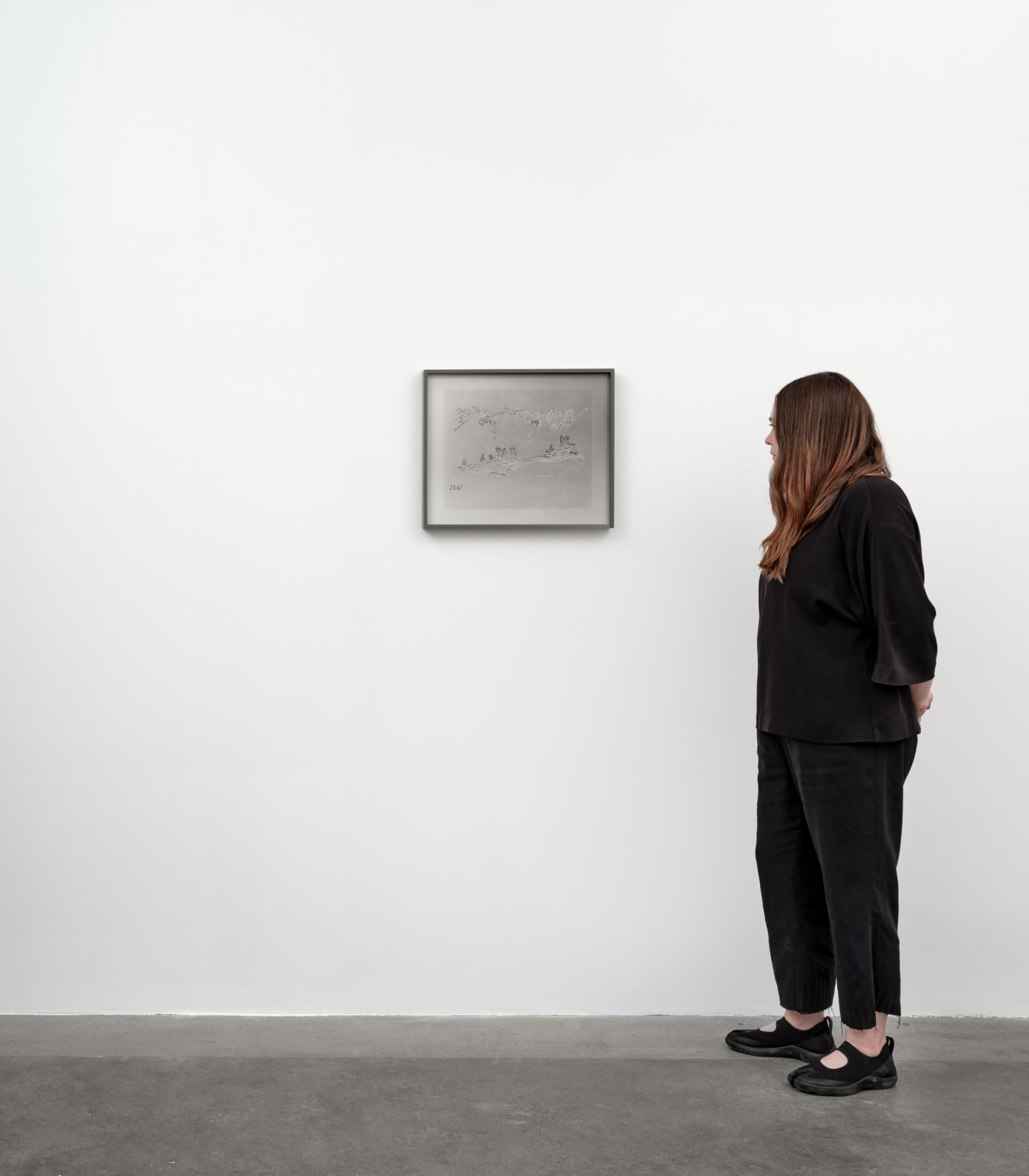 Image of Lisa Oppenheim Hochgebirgslandschaft, 1943/2024 (Version I)