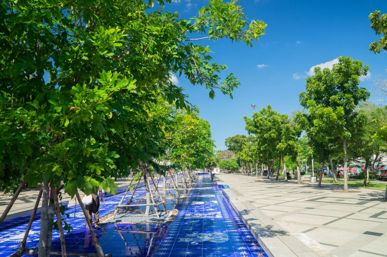 Image of The Wishes Boulevard