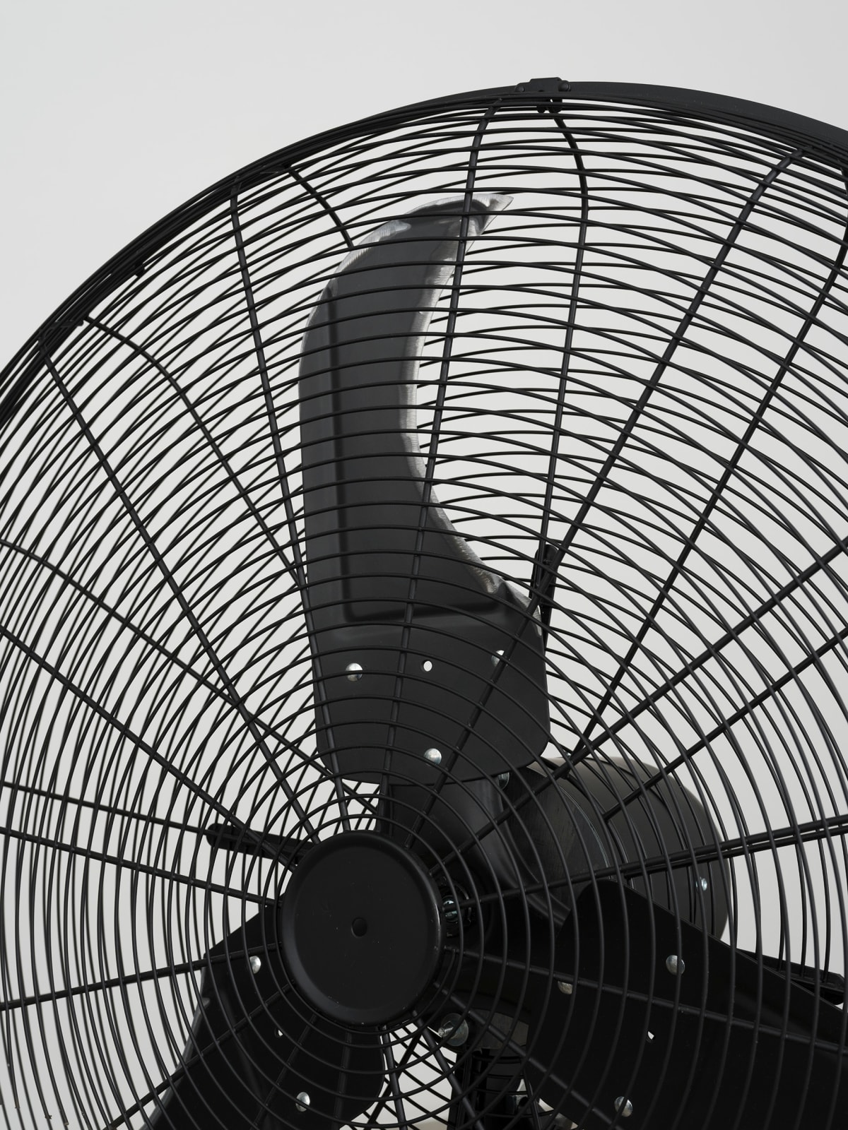 Image of Conflict Resolution