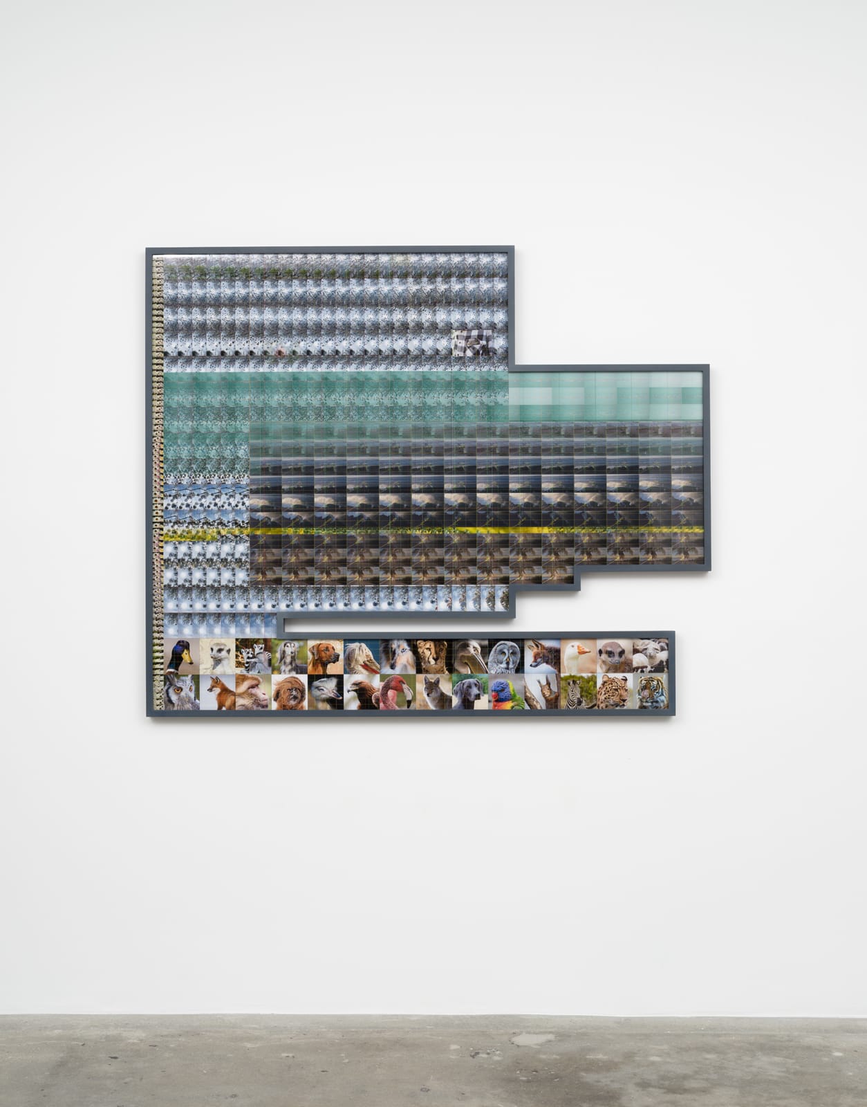 liu shiyuan photograph with shaped frame