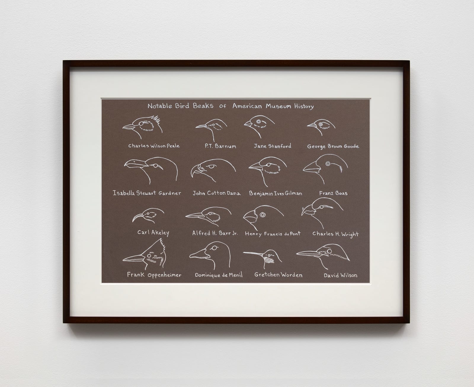 image of Mark Dion colored pencil drawing of multiple birds