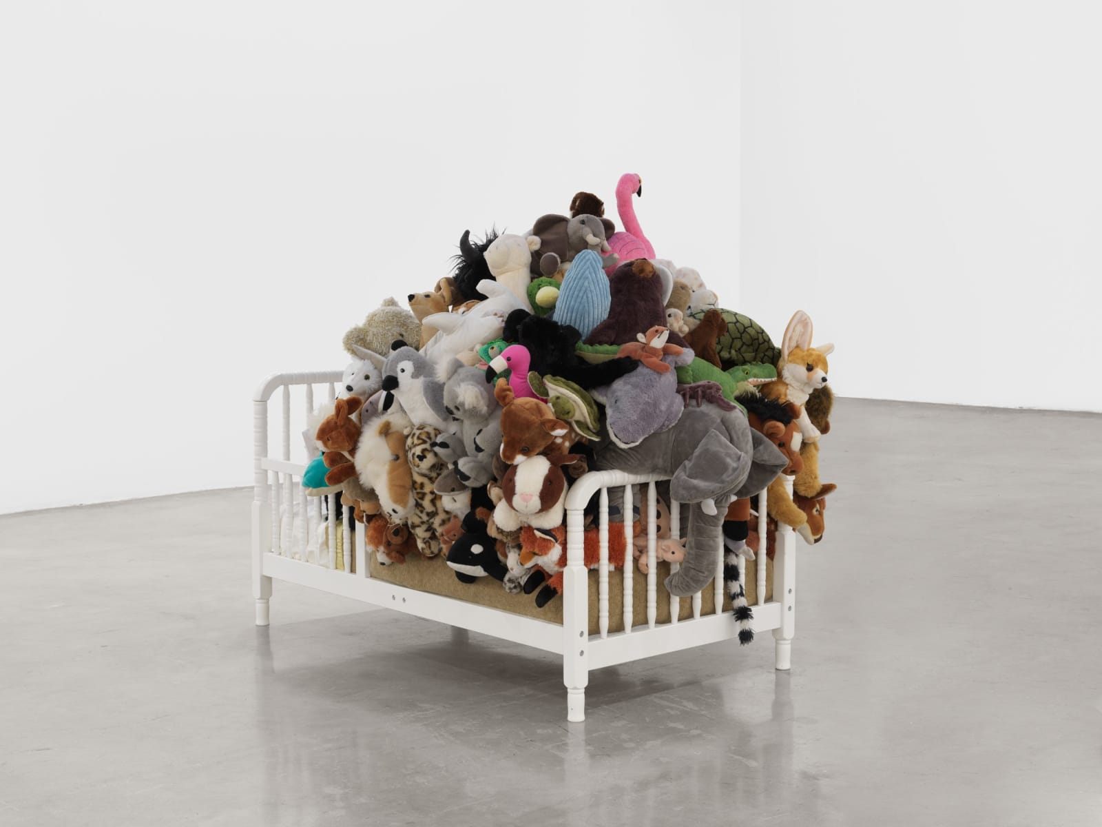 Image of Companion Animals.