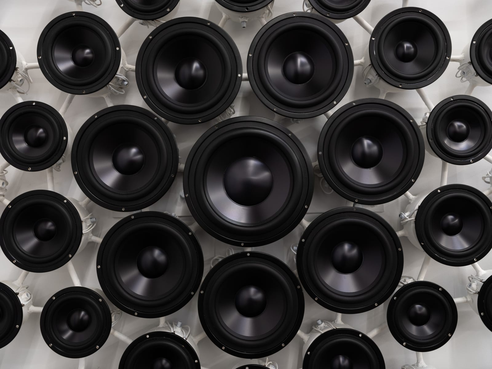 Image of Silent sigh