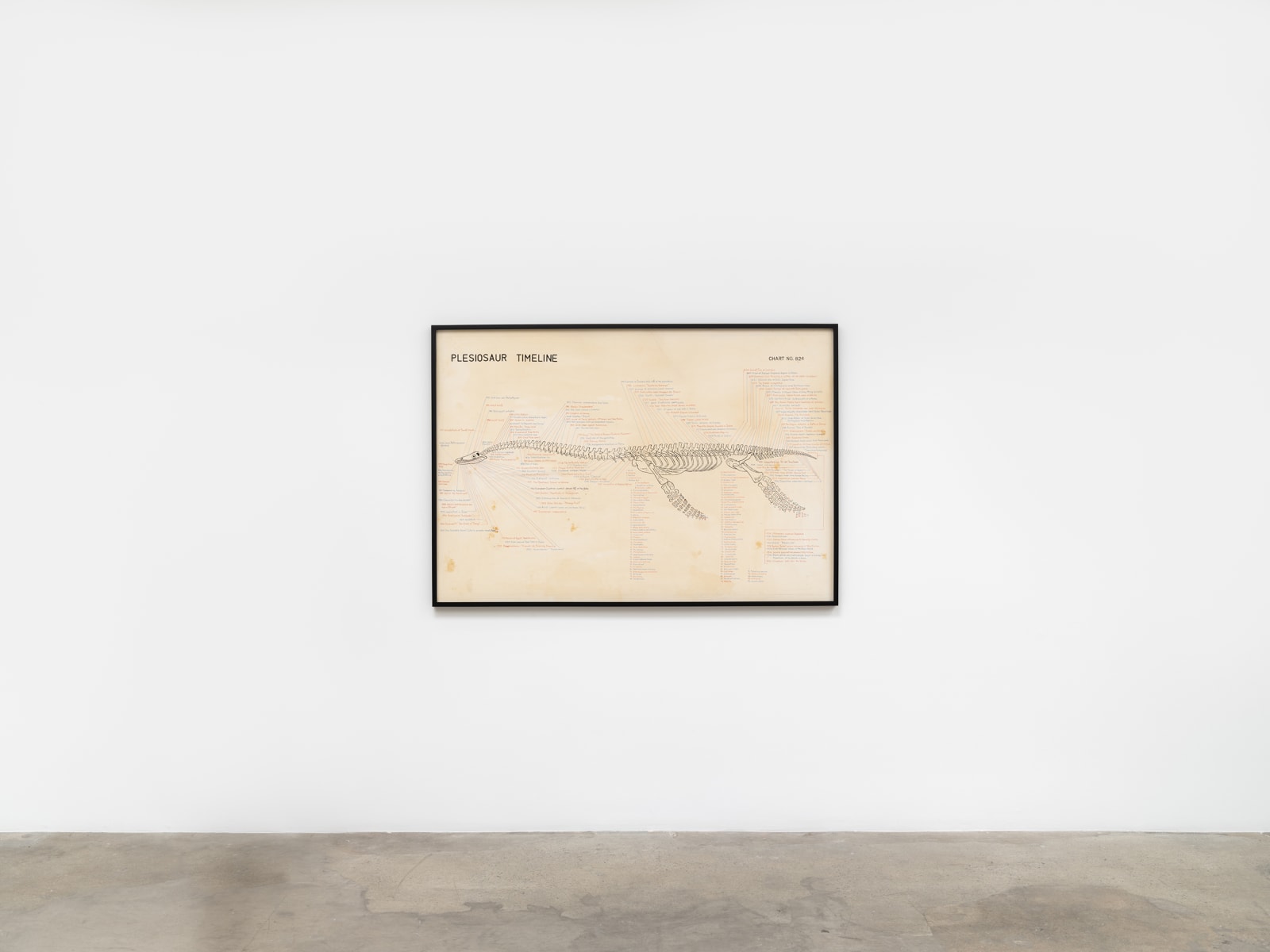 Image of Plesiosaur Timeline