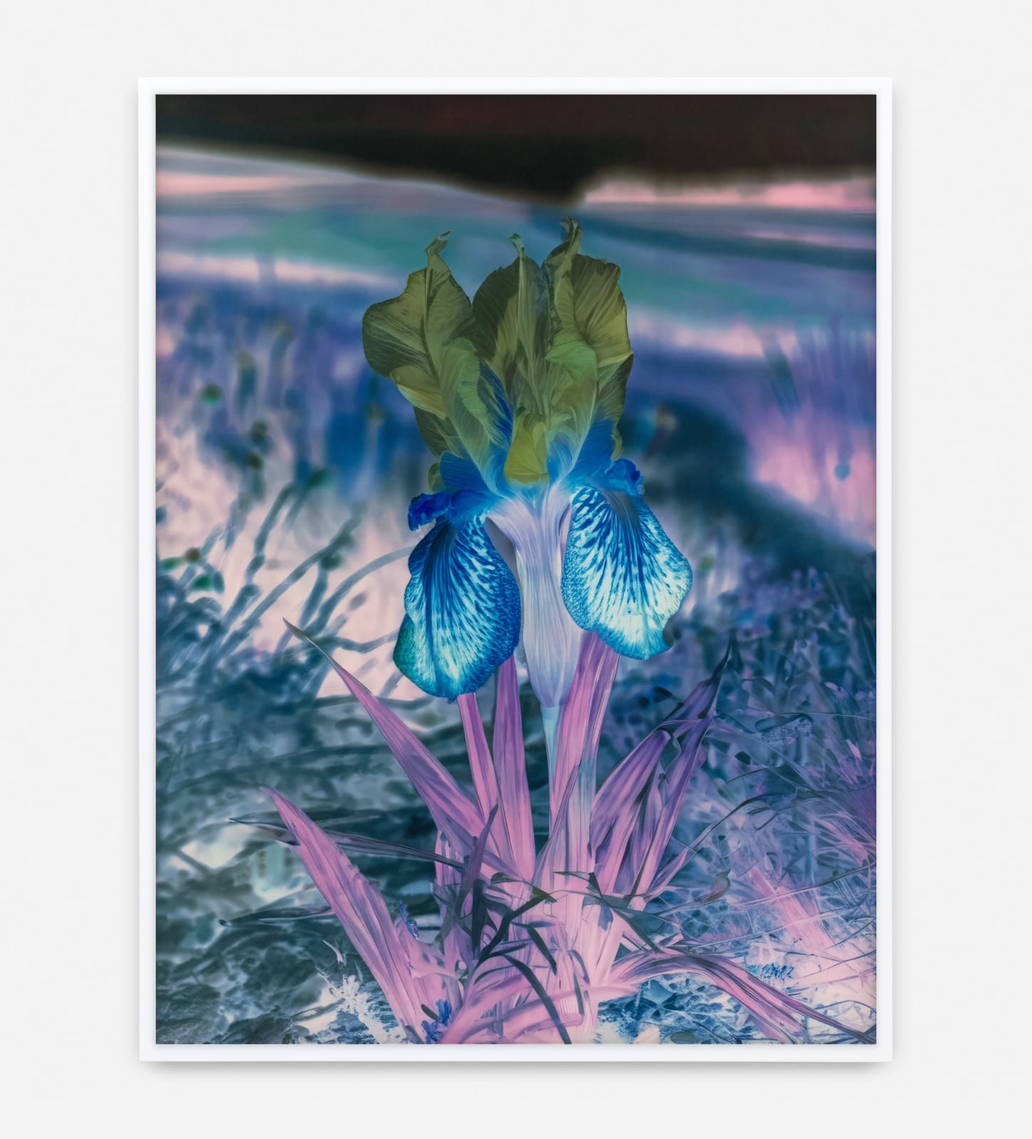 Image of Mlle Steichen Version XII.