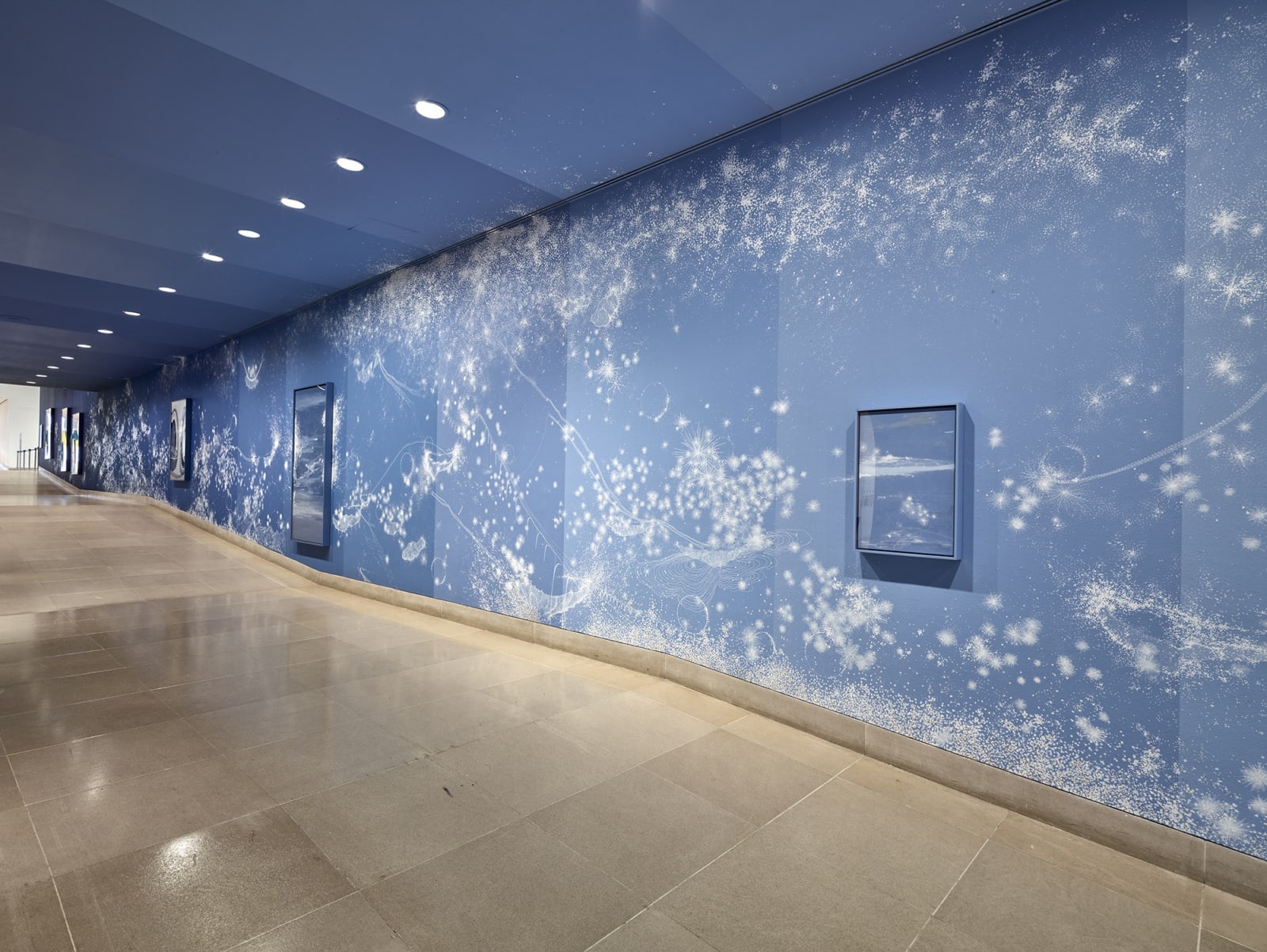 Installation view, Sandra Cinto: Landscape of a Lifetime, Dallas Museum of Art