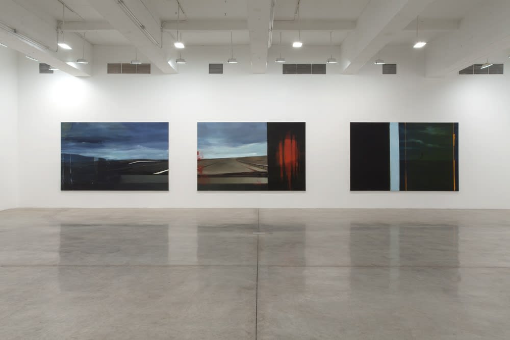 Installation view, Tanya Bonakdar Gallery