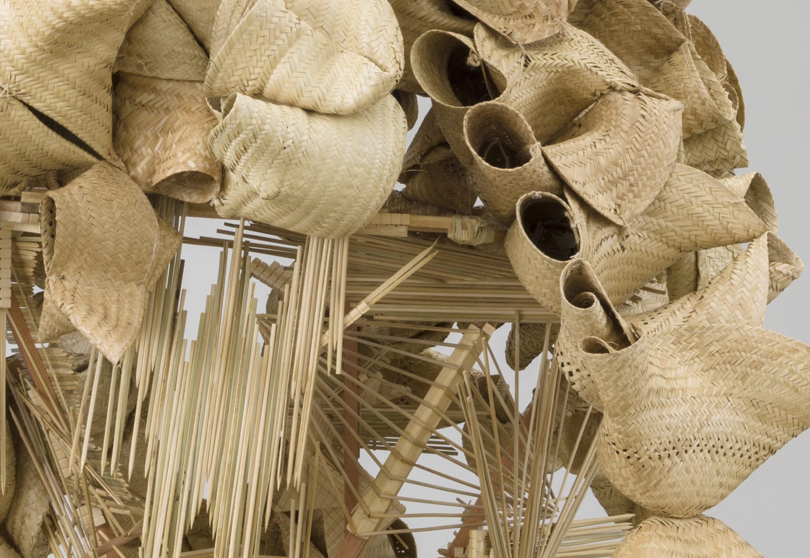 Image of Communal Nest #1