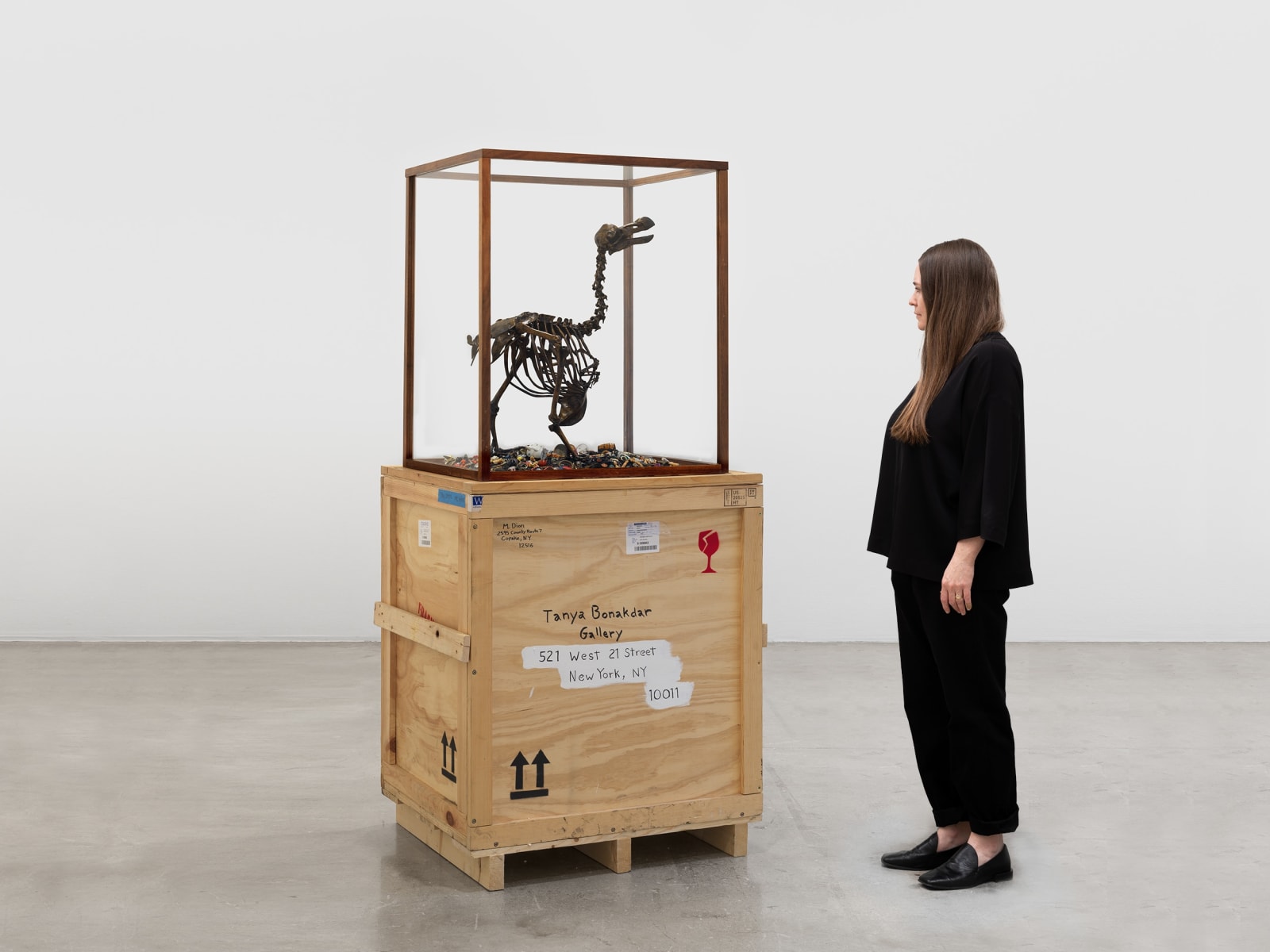 Image of The Anatomy of Melancholy - Dodo