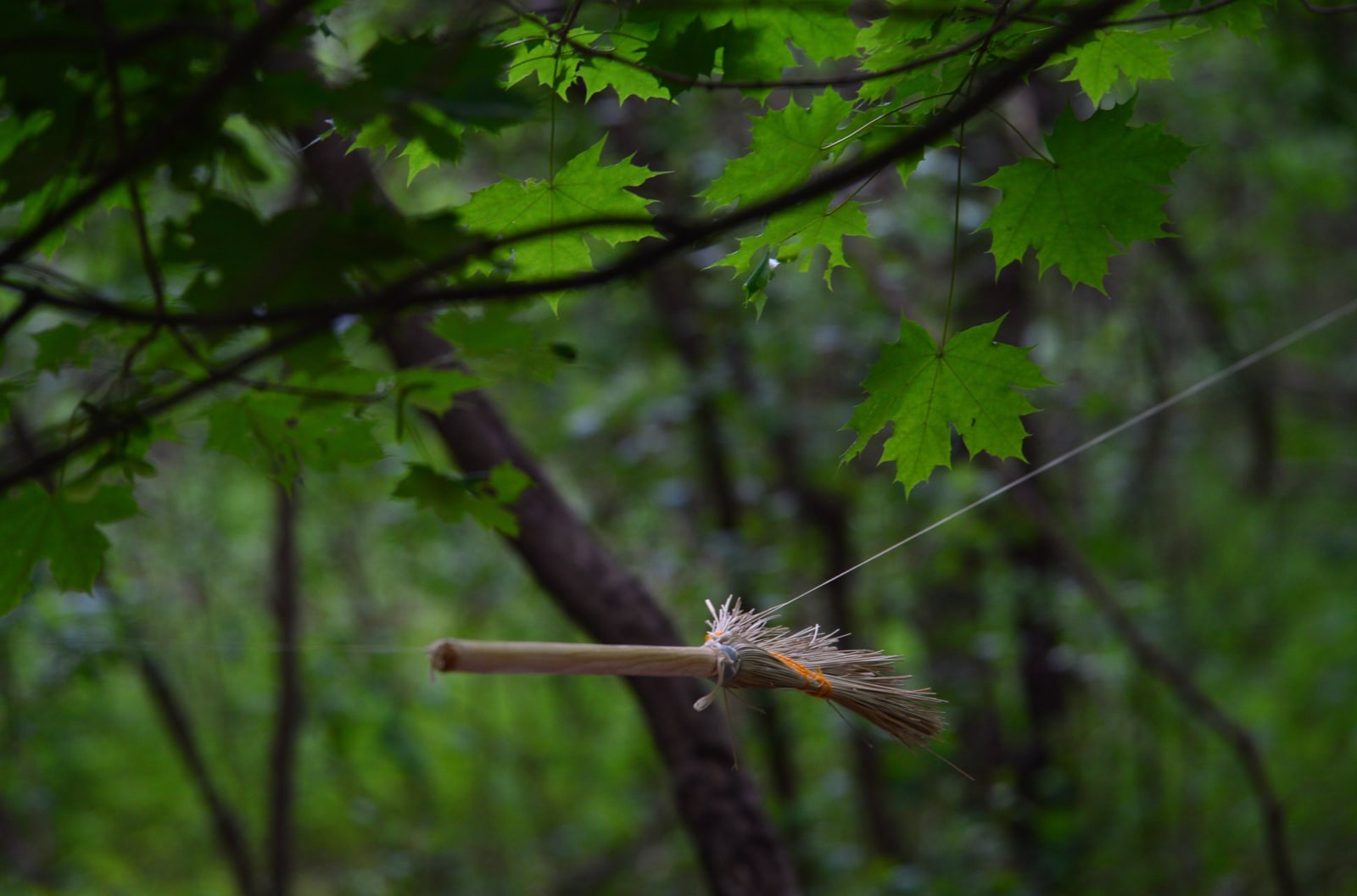 Image of Indistinct Form (Forma Indistinta).