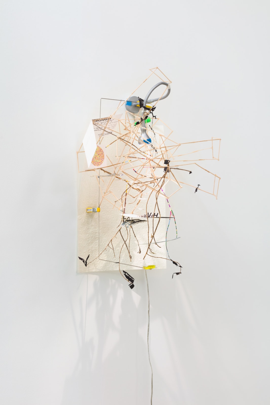 Image of Landing (Nest Series)