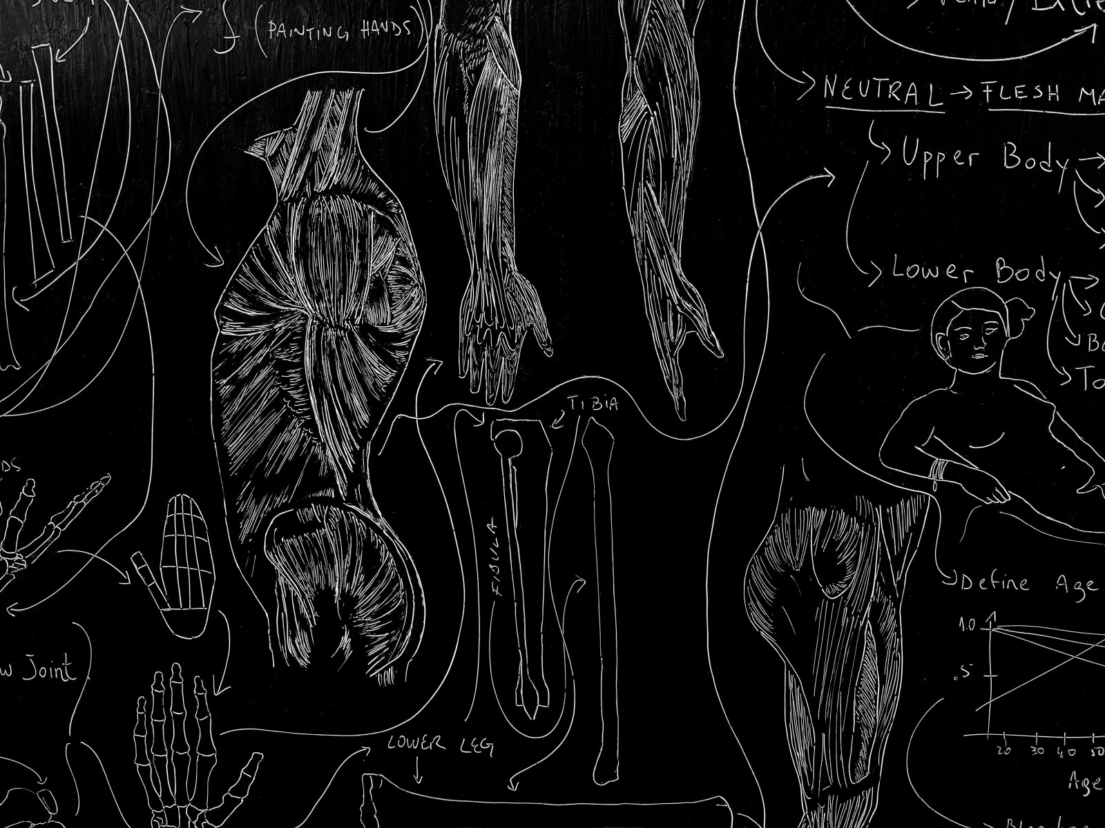 Image of Flowchart (Painting Anatomy) .